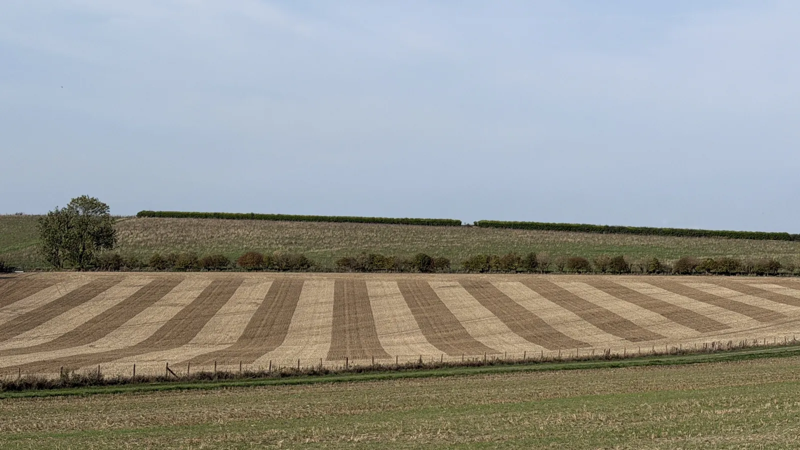 A striped arable field under a grey sky